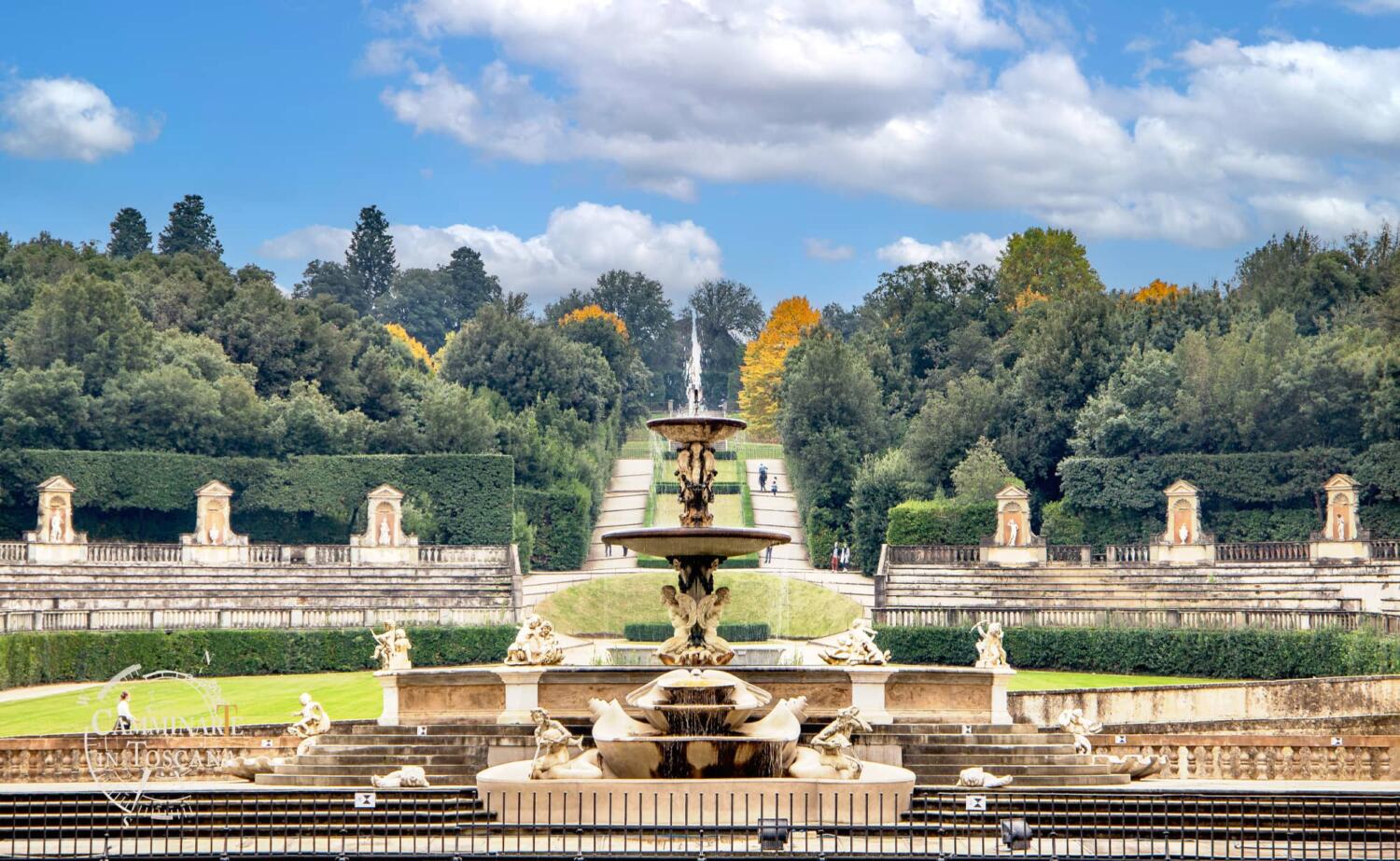 Pitti Palace And Boboli Gardens Tour